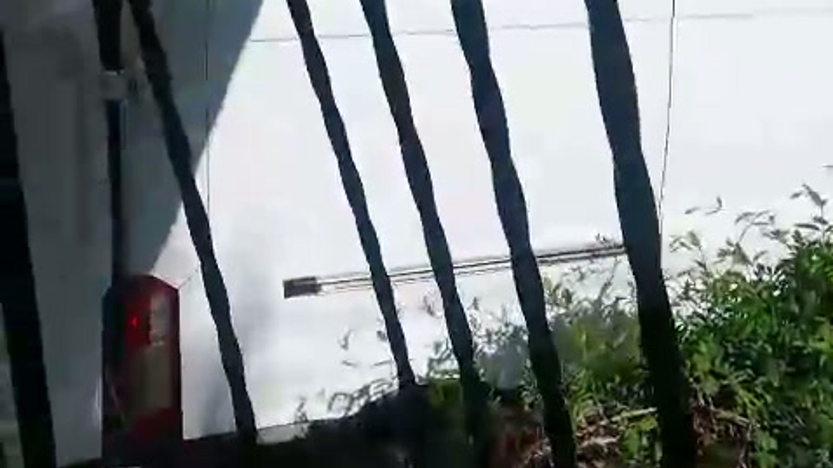 Tüm Videolar